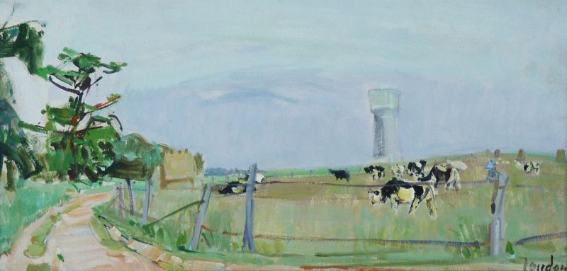 Kühe auf Weide, um 1956