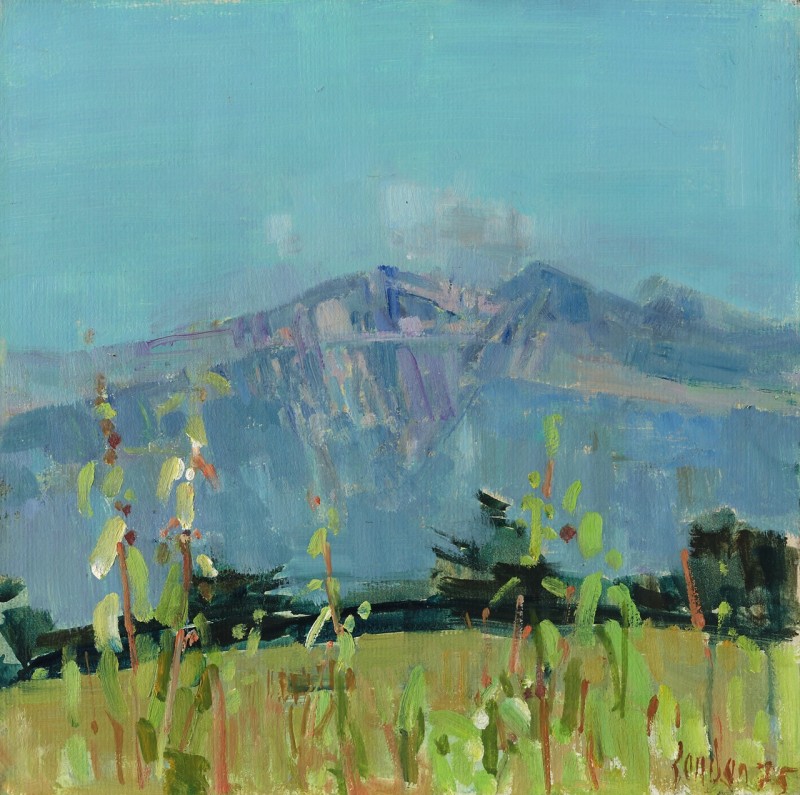 Il Monte Grappa, Italien 1975 (bei Binswangers gemalt)