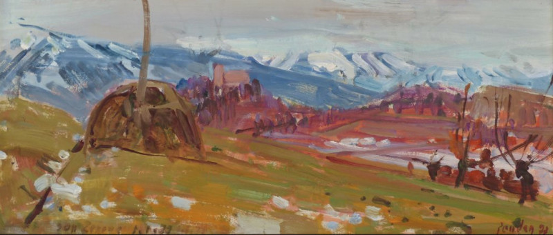 Bergwiese mit Heustock