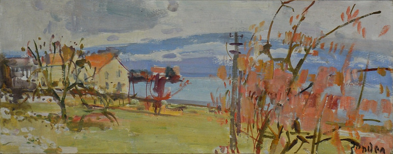 Schneeschmelze in Richterswil