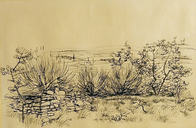 Stadtgarten Avignon, 1929