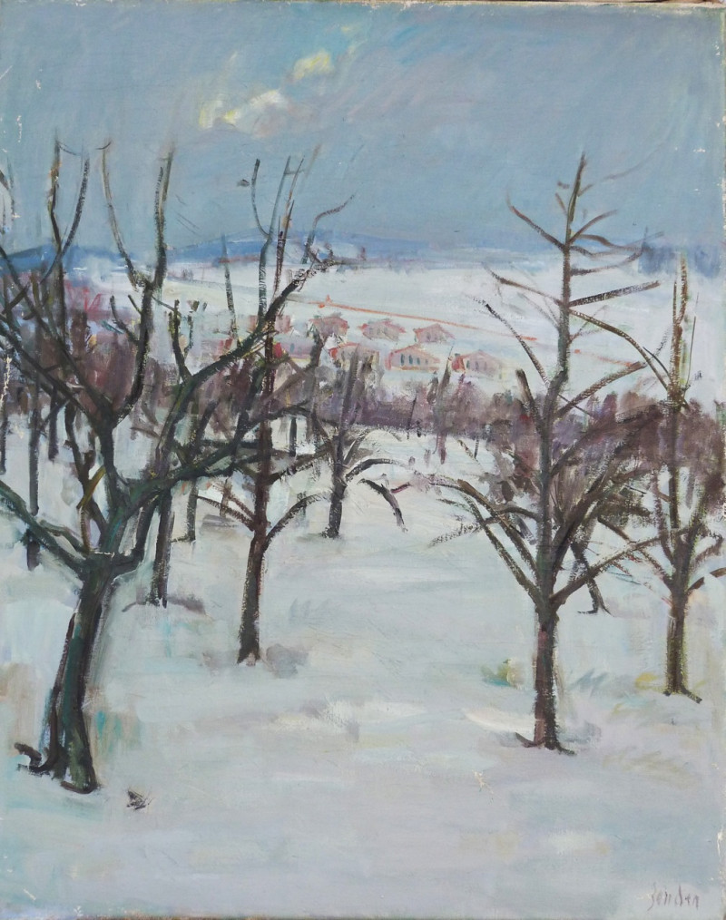 Schnee, Landschaft bei Oberwinterthur