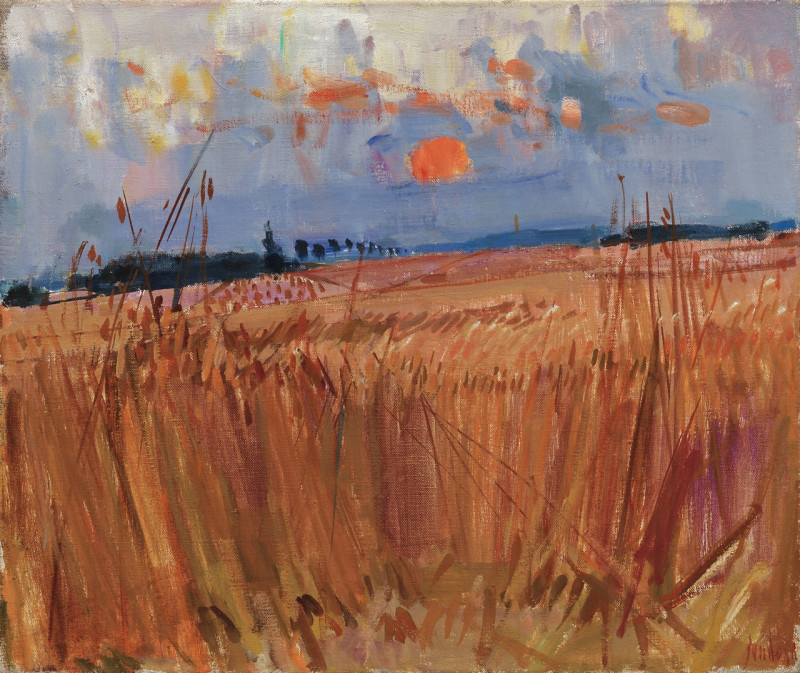 Champs de blé en soir, 196?