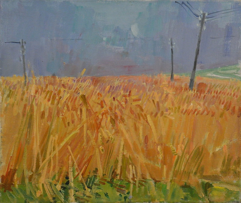 Getreidefeld in Oberwil