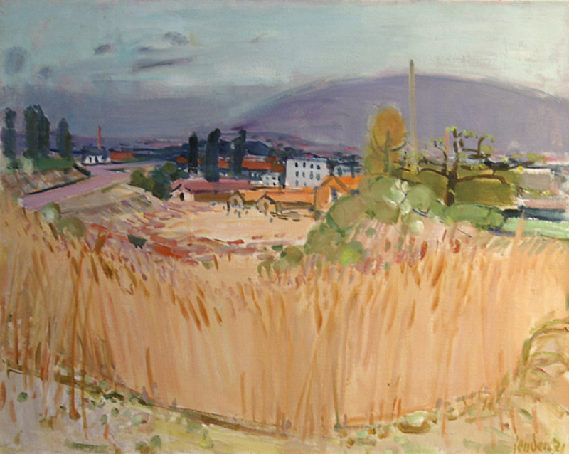 Gieshübel, Zürcher Landschaft, 1971