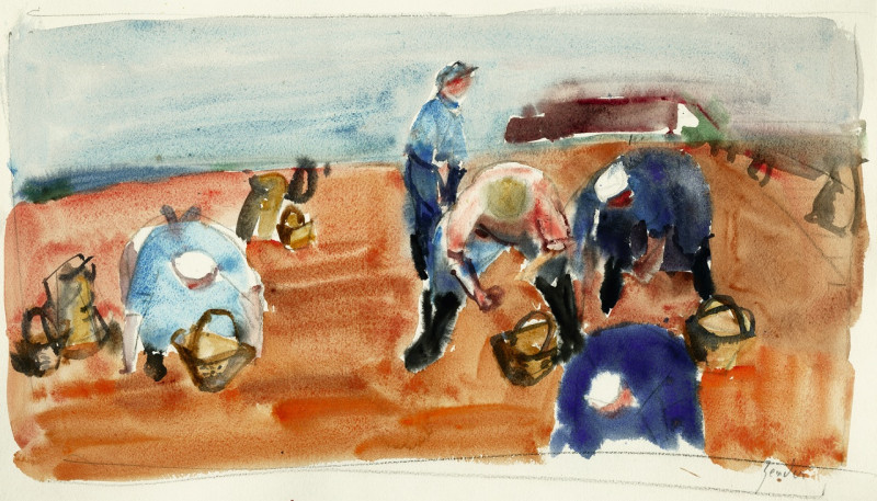 Studie zu Kartoffelpflücker