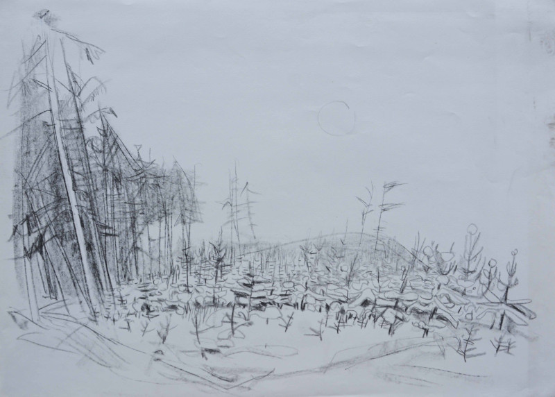 Winterliche Waldlandschaft